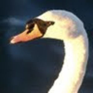 Meet your Posher, Gregory